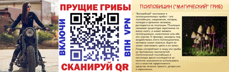 Галлюциногенные грибы мицелий  Купить где  Гурьевск 