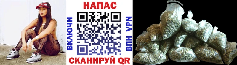 Шишки марихуана MAZAR  Купить  Гурьевск 